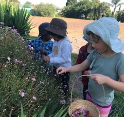 Flower picking in group 2021